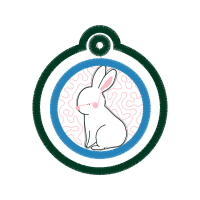 Domestic Rabbit Animals