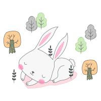 Domestic Rabbit Animals