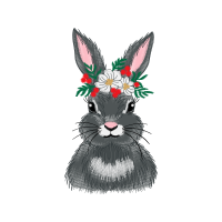 Domestic Rabbit Animals Domestic Rabbit Animals