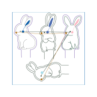 Domestic Rabbit Animals
