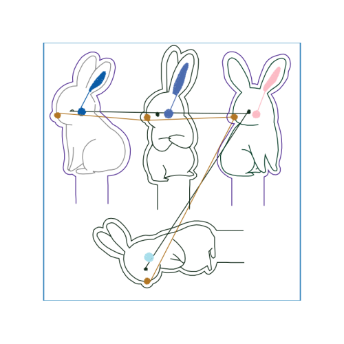 Domestic Rabbit Animals
