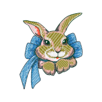 Domestic Rabbit Animals