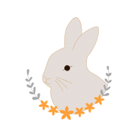 Domestic Rabbit Animals