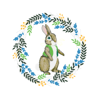 Domestic Rabbit Animals