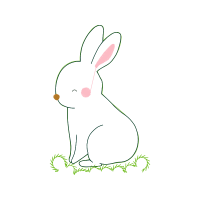 Domestic Rabbit Animals