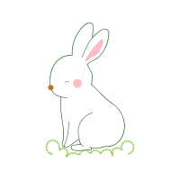 Domestic Rabbit Animals