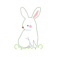 Domestic Rabbit Animals