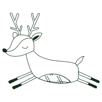 Drawing Animals Drawing Animals