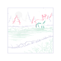 Drawing Animals