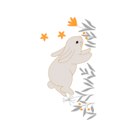 Drawing Animals