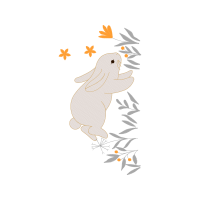 Drawing Animals Drawing Animals