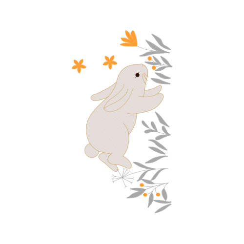 Drawing Animals Drawing Animals