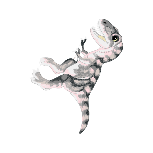 Eastern Cottontail Animals Eastern Cottontail Animals