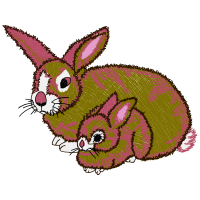 Eastern Cottontail Animals Eastern Cottontail Animals