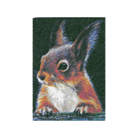 Eastern Cottontail Animals Eastern Cottontail Animals