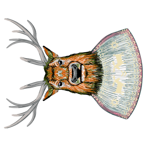 European Corn Borer Animals European Corn Borer Animals