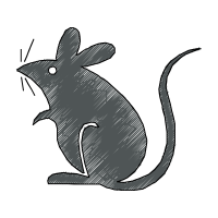 Hares Animals