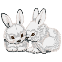 Hares Animals Hares Animals