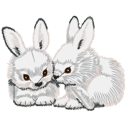 Hares Animals Hares Animals