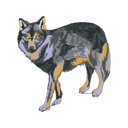 Himalayan Sheepdog Animals Himalayan Sheepdog Animals