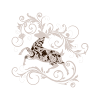 Illustration Animals