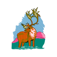 Illustration Animals