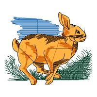 Illustration Animals