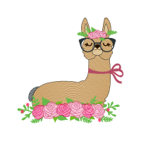 Illustration Animals