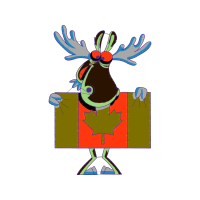 Illustration Animals