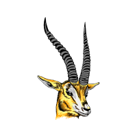 Oryx Animals