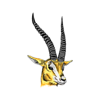 Oryx Animals