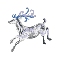 Rampur Greyhound Animals Rampur Greyhound Animals