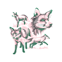 Red Fox Animals Red Fox Animals