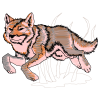 Red Fox Animals Red Fox Animals