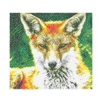 Red Fox Animals Red Fox Animals