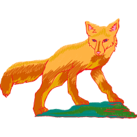 Red Fox Animals Red Fox Animals