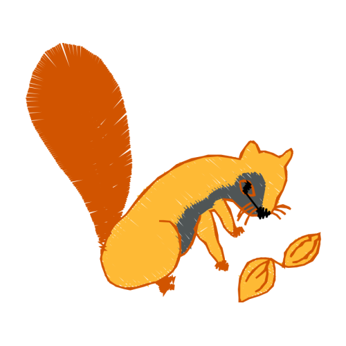 Red Fox Animals Red Fox Animals