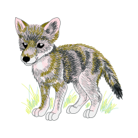 Red Fox Animals Red Fox Animals