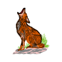 Red Fox Animals Red Fox Animals