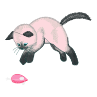 Red Fox Animals Red Fox Animals