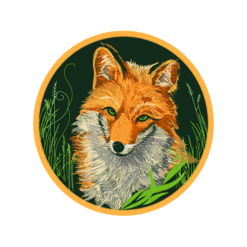 Red Fox Animals Red Fox Animals