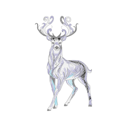 Reindeer Animals Reindeer Animals