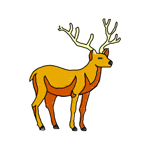 Reindeer Animals Reindeer Animals