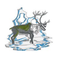 Reindeer Animals Reindeer Animals