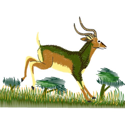 Roe Deer Animals Roe Deer Animals