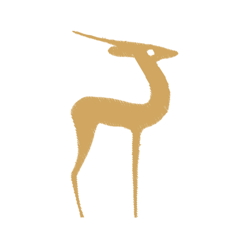 Roe Deer Animals Roe Deer Animals