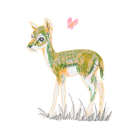 Roe Deer Animals Roe Deer Animals