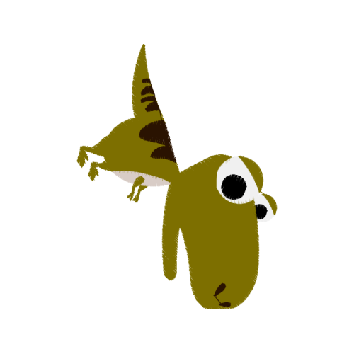 Roe Deer Animals Roe Deer Animals