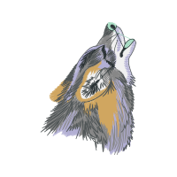 Rough Collie Animals Rough Collie Animals