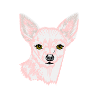 Toy Fox Terrier Animals